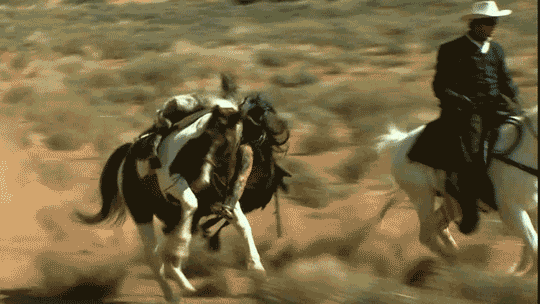 johnny-depp-lone-ranger-horse-fall