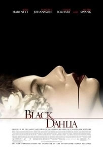 black-dahlia