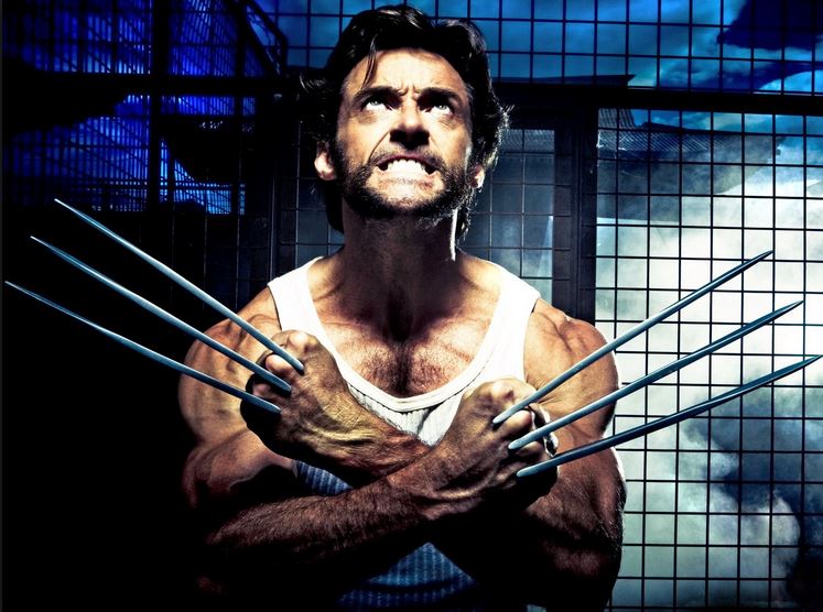 wolverine