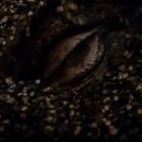 New, Final (?) THE HOBBIT: THE DESOLATION OF SMAUG Trailer Hits