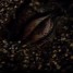New, Final (?) THE HOBBIT: THE DESOLATION OF SMAUG Trailer Hits