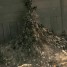 The WORLD WAR Z Sequel Gets A Director