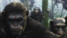 DAWN OF THE PLANET OF THE APES Is Just Another Unwieldy Blockbuster